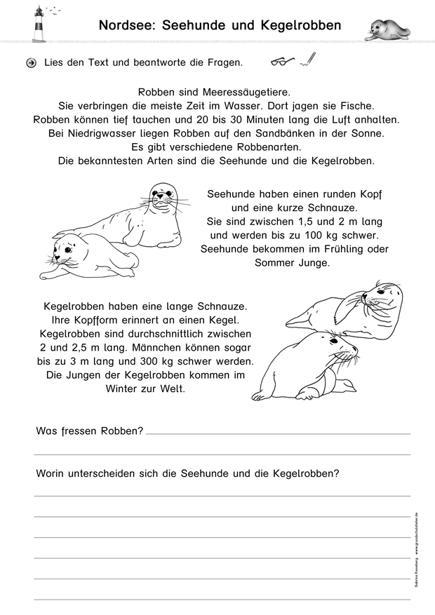 Featured image of post Sachunterricht Klasse 3 Arbeitsbl tter Arbeitsbl tter zu den berufen allgemein f r 2 klasse