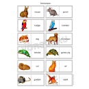Animals: pets (Haustiere)