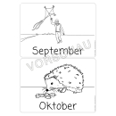 Kalender (Bildkarten, Klassenraumgestaltung)