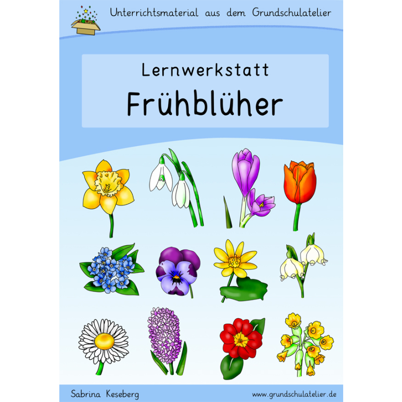 FrühblüherWerkstatt für die Grundschule