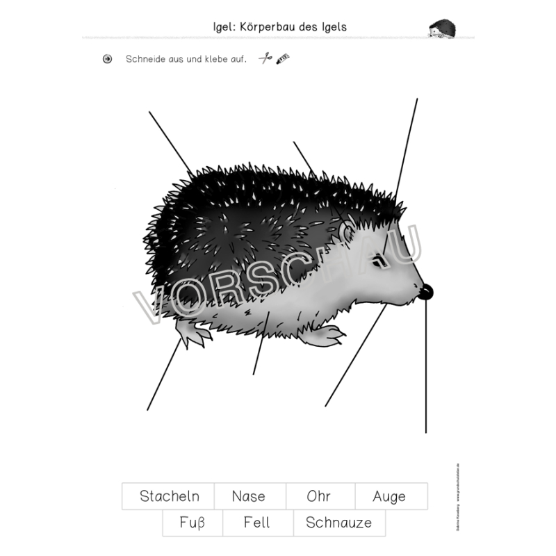 Igel Werkstatt für die Grundschule