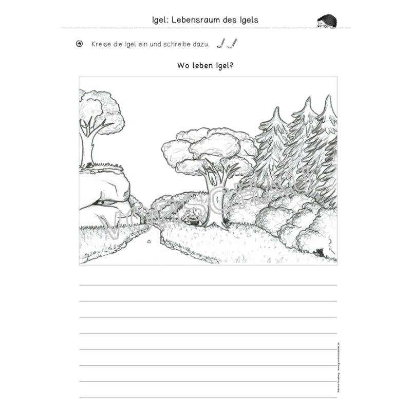 Igel-Werkstatt für die Grundschule