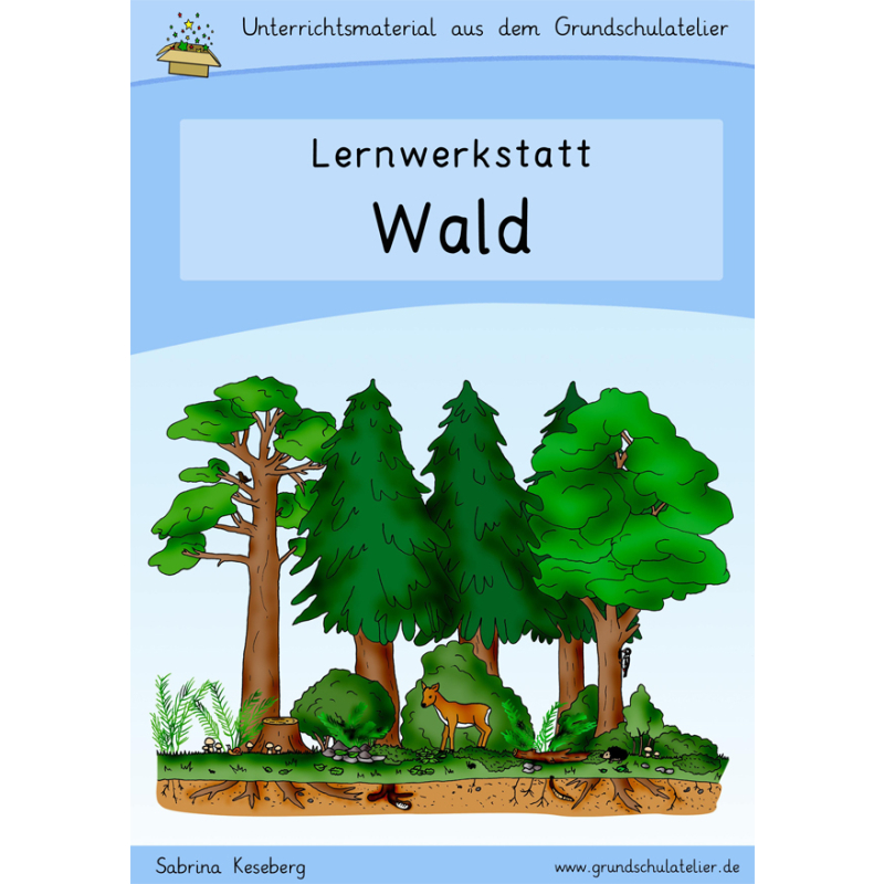 Wald Werkstatt Fur Die Grundschule