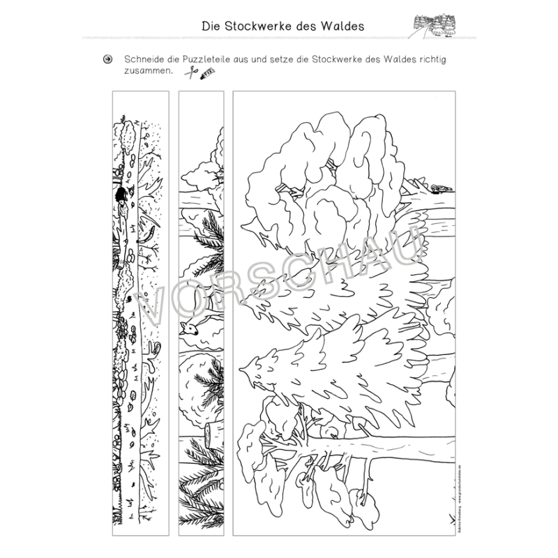 Wald Werkstatt Fur Die Grundschule