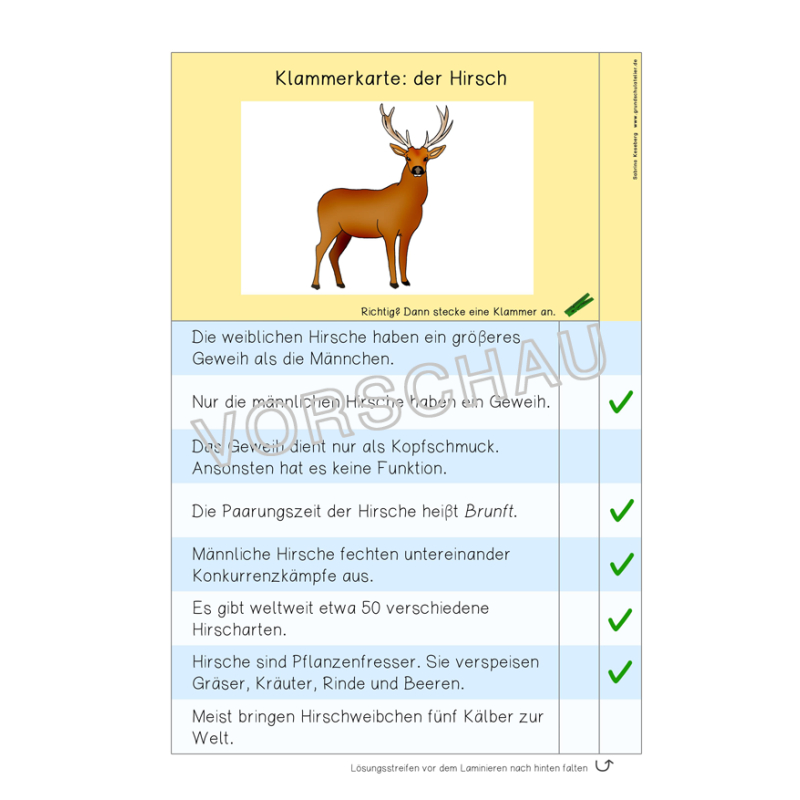 Wald Werkstatt Fur Die Grundschule