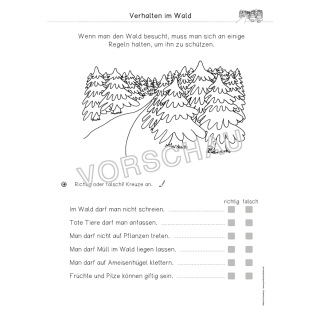 Wald Werkstatt Fur Die Grundschule