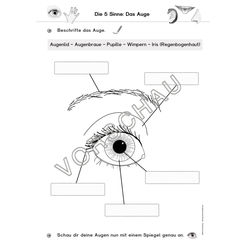 download biofouling and