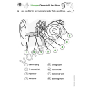 5 Sinne-Werkstatt