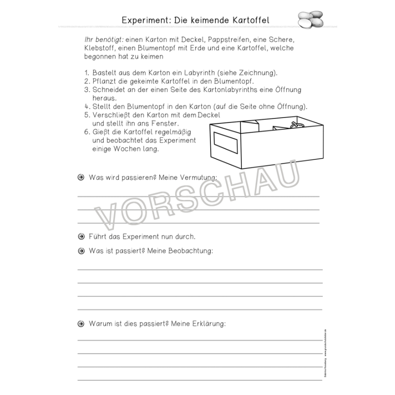Kartoffel Werkstatt Fur Die Grundschule