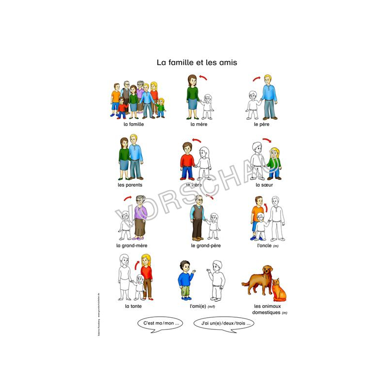 Unterrichtsmaterial Franzosisch Wortbildlexikon Grundschule