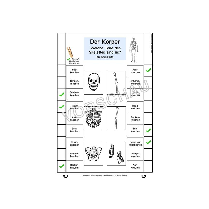 Körper kennenlernen spiele