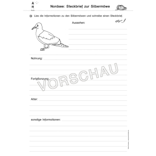 Französisch vorlage steckbrief Französisch Steckbrief