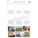 Nordsee-Werkstatt (Wattenmeer)