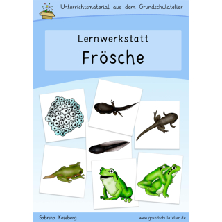 Frösche-Werkstatt