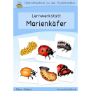 Marienkäfer-Werkstatt