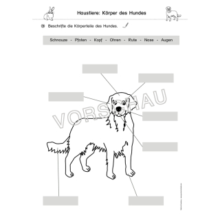 Grundschule Arbeitsblatter Hund - Kostenlose Übungen & Arbeitsblätter