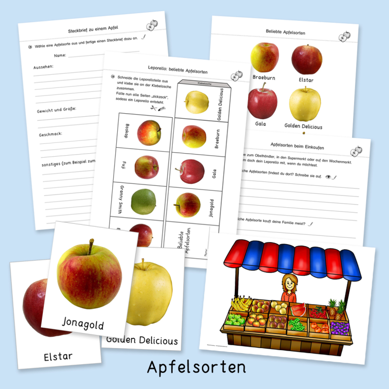  Apfelwerkstatt für die Grundschule Motiv 
