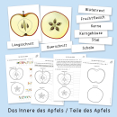 Apfel-Werkstatt