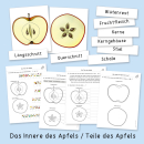 Apfel-Werkstatt