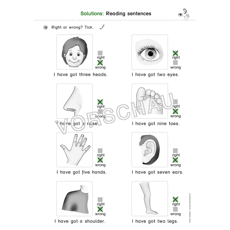 Englischmaterialien my body