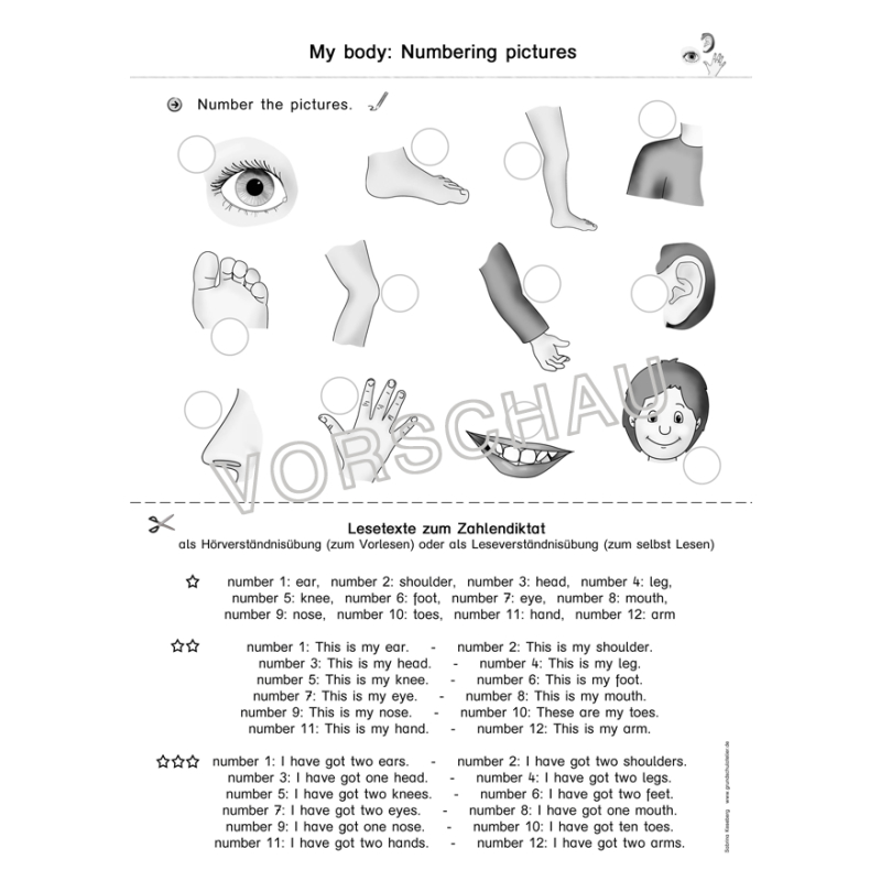 Englischmaterialien my body