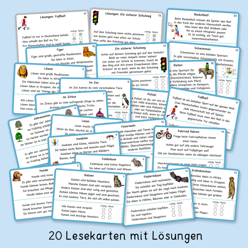 Erste Sachtexte lesen (Klassen 2 und 3)