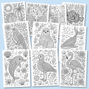 Jahreszeiten-Mandalas (40 Malvorlagen, Sparpaket)