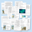 Sachtexte lesen & verstehen: Winter...