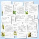 Sachtexte lesen & verstehen: Frühling...