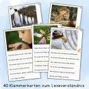 Klammerkarten zum Leseverständnis 1