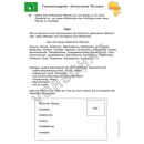Afrika-Werkstatt