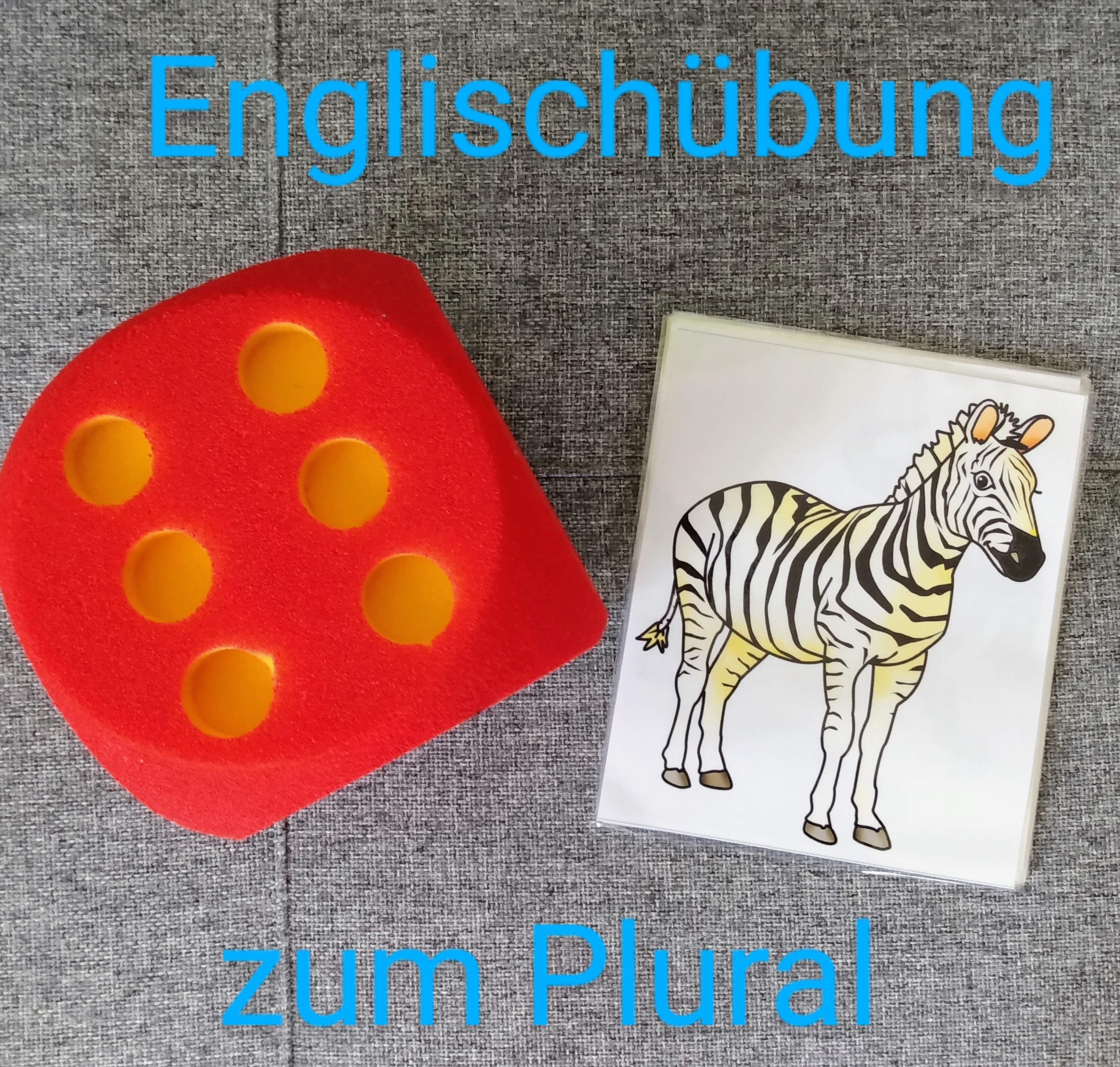 Englischübung Grundschule Plural